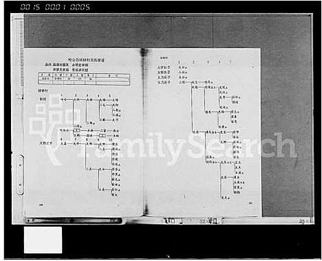 [下载][临高王氏宗谱_10卷]海南.临高王氏家谱_三.pdf