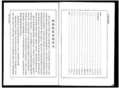 [下载][郭沟杜氏家谱_杜氏家谱]河南.郭沟杜氏家谱.pdf