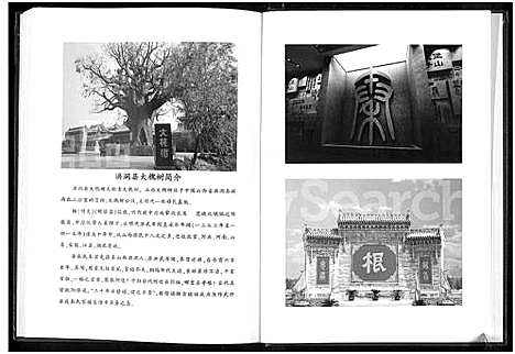 [下载][秦氏家谱_不分卷]河南.秦氏家谱.pdf