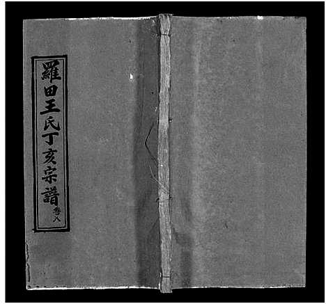 [下载][罗田王氏丁亥宗谱_13卷_王氏宗谱_罗田王氏丁亥宗谱]河南/安徽.罗田王氏丁亥家谱_八.pdf