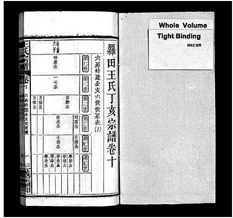 [下载][罗田王氏丁亥宗谱_13卷_王氏宗谱_罗田王氏丁亥宗谱]河南/安徽.罗田王氏丁亥家谱_十.pdf