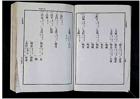 [下载][太康马头王氏族谱_不标卷数_王氏族谱]河南.太康马头王氏家谱_十一.pdf