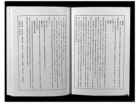 [下载][王氏族谱]河南.王氏家谱.pdf