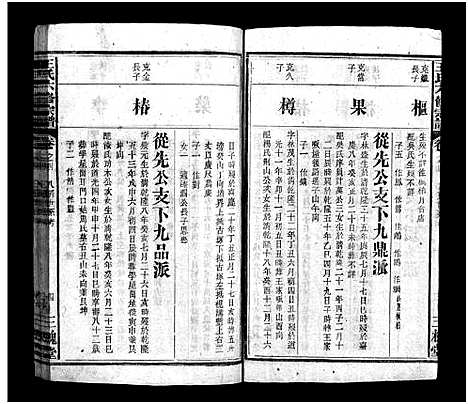 [下载][王氏六修宗谱_11卷首1卷_王氏族谱_临川派王氏六修宗谱]河南.王氏六修家谱_五.pdf