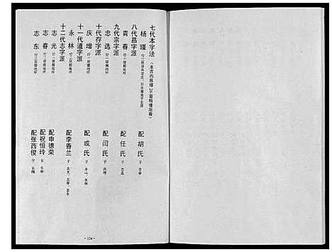 [下载][杨氏家谱_不分卷]河南.杨氏家谱_一.pdf