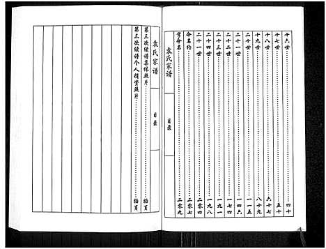 [下载][袁氏族谱_袁氏家谱]河南.袁氏家谱.pdf