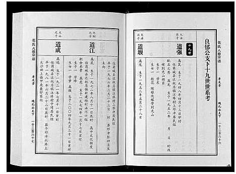 [下载][张氏八修宗谱_8卷]河南.张氏八修家谱_五.pdf