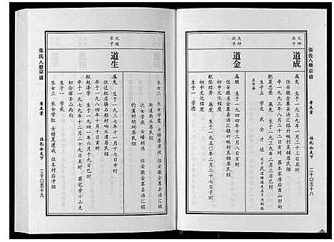 [下载][张氏八修宗谱_8卷]河南.张氏八修家谱_七.pdf