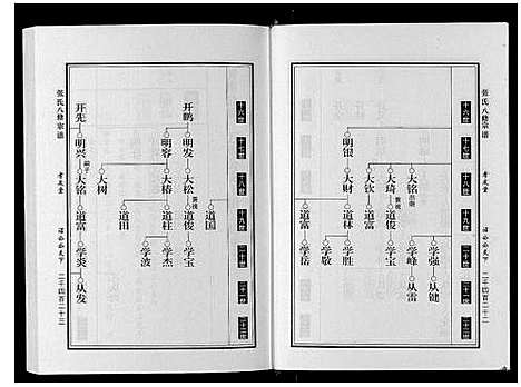 [下载][张氏八修宗谱_8卷]河南.张氏八修家谱_八.pdf