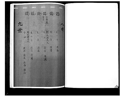 [下载][张氏家谱]河南.张氏家谱_二.pdf