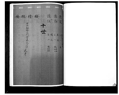 [下载][张氏家谱]河南.张氏家谱_二.pdf