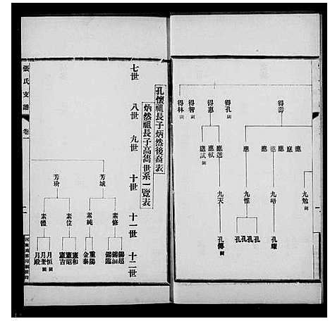 [下载][张氏支谱_6卷_西平县合水镇张氏支谱]河南.张氏支谱.pdf