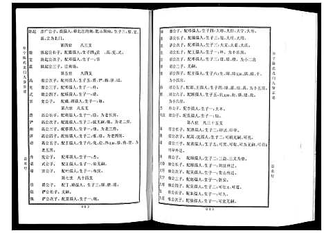 [下载][阜宁陈氏北门九修宗谱]江苏.阜宁陈氏北门九修家谱_二.pdf