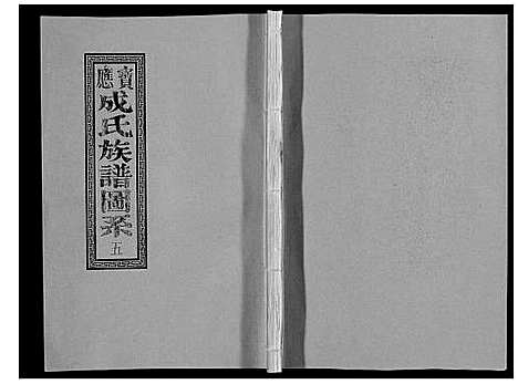 [下载][宝应成氏族谱_8卷]江苏.宝应成氏家谱_五.pdf