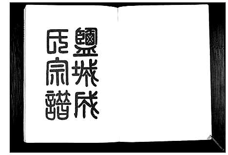 [下载][盐都县大成庄成氏宗谱_不分卷]江苏.盐都县大成庄成氏家谱.pdf