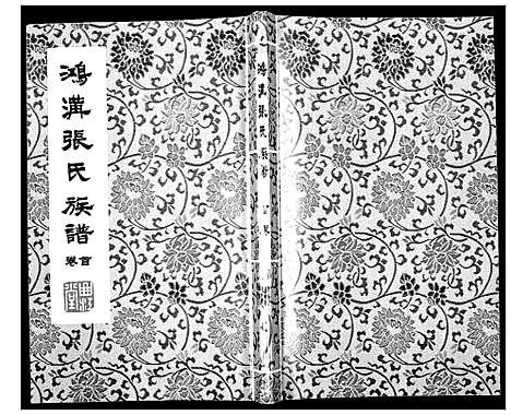 [下载][鸿沟张氏族谱_各方分卷首1卷]江苏.鸿沟张氏家谱_一.pdf