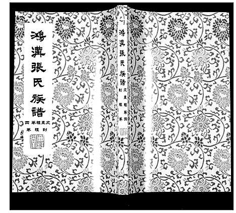 [下载][鸿沟张氏族谱_各方分卷首1卷]江苏.鸿沟张氏家谱_五.pdf