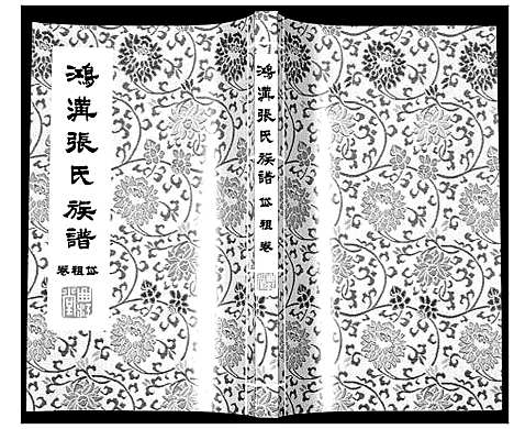 [下载][鸿沟张氏族谱_各方分卷首1卷]江苏.鸿沟张氏家谱_六.pdf