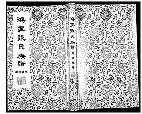 [下载][鸿沟张氏族谱_各方分卷首1卷]江苏.鸿沟张氏家谱_九.pdf