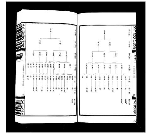 [下载][亭子港张氏宗谱_33卷]江苏.亭子港张氏家谱_十三.pdf