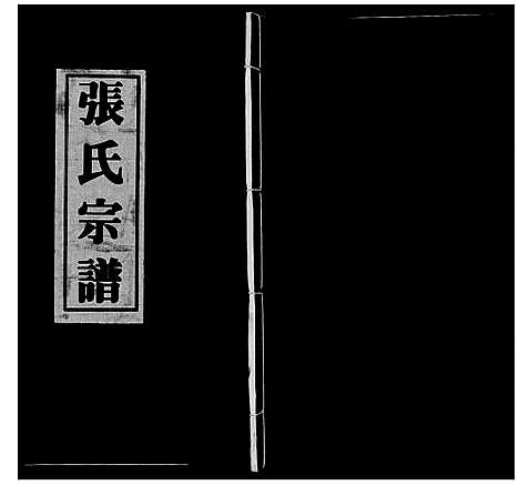 [下载][张氏宗谱_4卷]江苏.张氏家谱_三.pdf