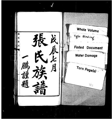 [下载][张氏族谱]江苏.张氏家谱_一.pdf