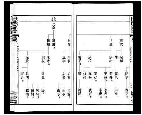 [下载][杜氏宗谱_13卷]江苏.杜氏家谱_十.pdf