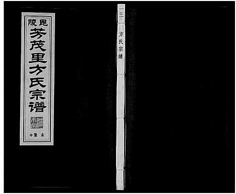 [下载][毗陵方氏宗谱_26卷首1卷_毘陵方氏宗谱_方氏宗谱]江苏.毗陵方氏家谱_十三.pdf