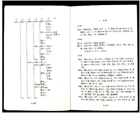 [下载][庙湾顾氏三修宗谱]江苏.庙湾顾氏三修家谱_十七.pdf