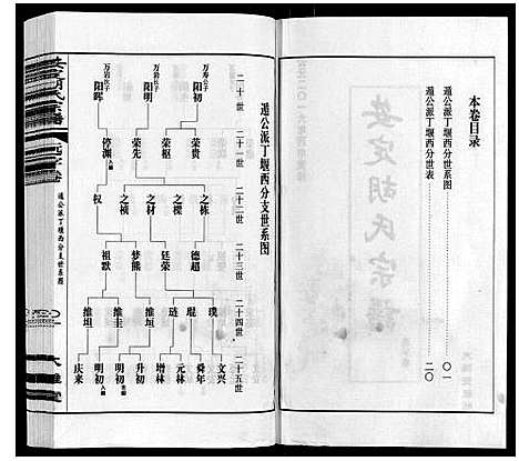 [下载][安定胡氏宗谱_13卷]江苏.安定胡氏家谱_八.pdf