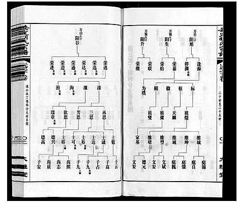 [下载][安定胡氏宗谱_13卷]江苏.安定胡氏家谱_八.pdf