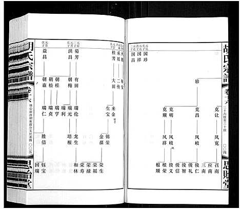 [下载][胡氏宗谱_18册_首1卷]江苏.胡氏家谱_十七.pdf