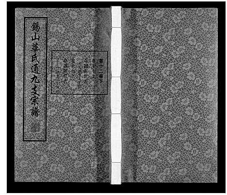 [下载][华氏通九支宗谱_28卷首1卷统宗附谱1卷]江苏.华氏通九支家谱_十四.pdf