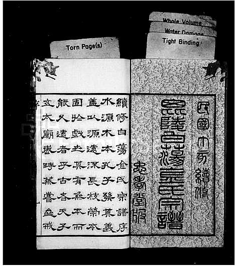 [下载][毘陵白荡金氏宗谱_8卷]江苏.毘陵白荡金氏家谱.pdf