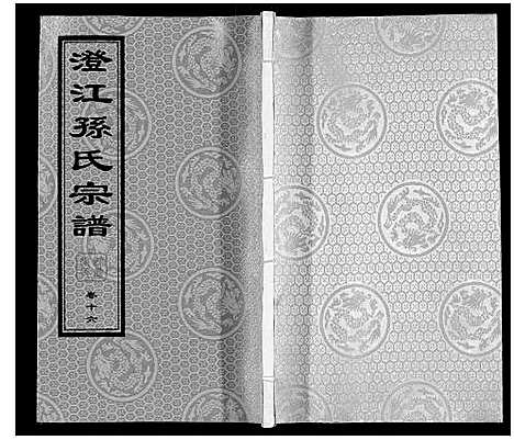 [下载][孙氏宗谱]江苏.孙氏家谱_十三.pdf