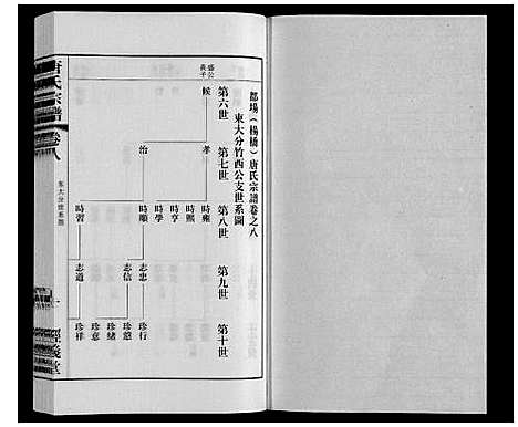 [下载][唐氏宗谱]江苏.唐氏家谱_八.pdf