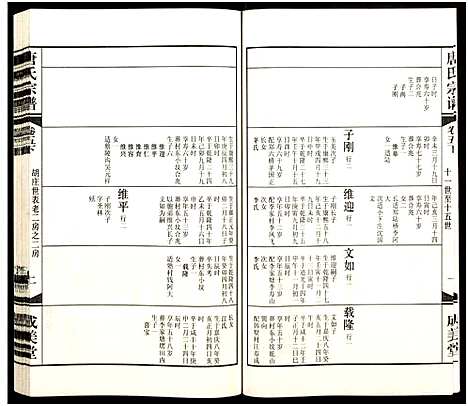 [下载][唐氏宗谱_8卷_胡庄唐氏宗谱]江苏.唐氏家谱_五.pdf