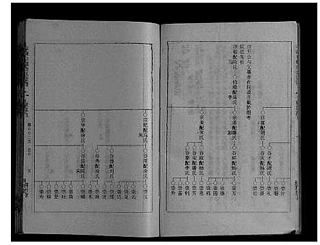 [下载][草堰口镇唐氏宗谱_7卷头1卷]江苏.草堰口镇唐氏家谱_六.pdf