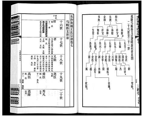 [下载][东沙祝塘王氏宗谱_33卷首1卷_东沙筑塘王氏宗谱]江苏.东沙祝塘王氏家谱_八.pdf