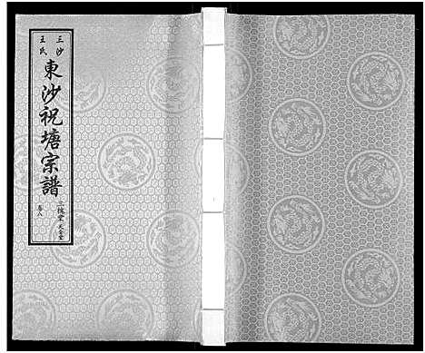 [下载][东沙祝塘王氏宗谱_33卷首1卷_东沙筑塘王氏宗谱]江苏.东沙祝塘王氏家谱_九.pdf