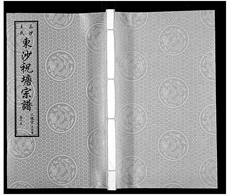 [下载][东沙祝塘王氏宗谱_33卷首1卷_东沙筑塘王氏宗谱]江苏.东沙祝塘王氏家谱_十九.pdf