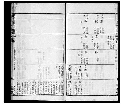 [下载][王氏三沙全谱_16卷首1卷]江苏.王氏三沙全谱_十四.pdf