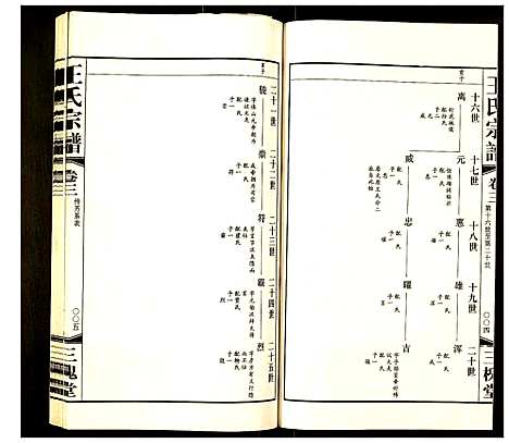 [下载][王氏宗谱]江苏.王氏家谱_三.pdf