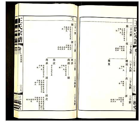 [下载][王氏宗谱]江苏.王氏家谱_三.pdf