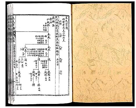 [下载][王氏宗谱_6卷]江苏.王氏家谱_四.pdf