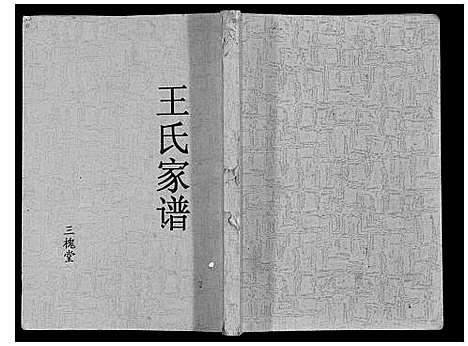 [下载][王氏家谱]江苏.王氏家谱.pdf