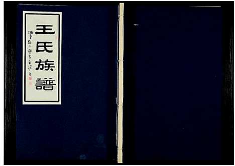 [下载][王氏族谱_不分卷_王氏族谱_三槐王氏]江苏.王氏家谱.pdf