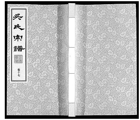 [下载][吴氏宗谱]江苏.吴氏家谱_十七.pdf