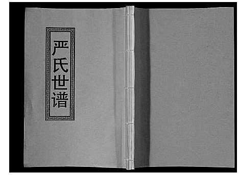 [下载][严氏家谱_不分卷]江苏.严氏家谱.pdf