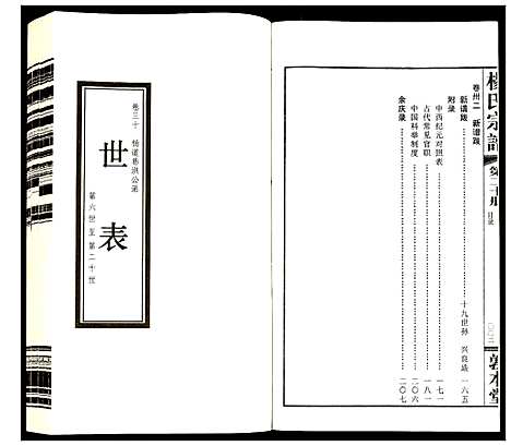 [下载][杨氏宗谱]江苏.杨氏家谱_二十.pdf